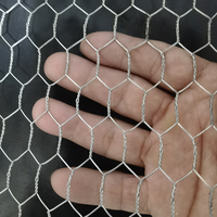 Rouleau de grillage hexagonal galvanisé à chaud anti-rouille pour enclos d'animaux de ferme, fil de 0,4 mm à 2,8 mm, directement de l'usine