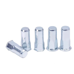 Hexagonal Rivet Nuts Metric Coarse Thread Zinc Plated Grade A For Construction Industry - Product Image 2