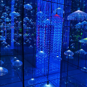 <span class=keywords><strong>Labyrinthe</strong></span> de miroir aire de jeux intérieure et extérieure parc d'attractions <span class=keywords><strong>labyrinthe</strong></span> de miroir à vendre - Product Image 4