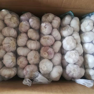 Offre Spéciale – Ail Frais Chinois Blanc Standard 5,0 cm, 1 kg x 10/carton – Prix de Gros Abordable - Product Image 5