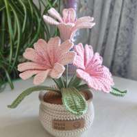 Pabrik Grosir Tanaman Pot Lewisia Rajutan Tangan Benang Hipoalergenik Bunga Buatan Dekorasi Rumah Hadiah untuk Hari Ibu