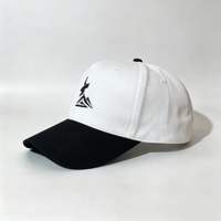 Casquette de baseball en coton bicolore OEM ODM avec logo brodé, 5 panneaux, visière incurvée, chapeau décontracté pour hommes et femmes