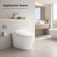 Toilette intelligente non électrique en céramique avec bidet intégré, chasse d'eau manuelle, toilette monobloc