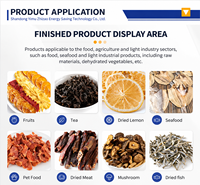 Secador Industrial Eléctrico de Frutas, Carne, Pescado, Alimentos, Máquina de Secado con Bomba de Calor, Cuarto de Secado de Mango y Alimentos para Mascotas, Horno de Carbón