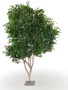 עץ אלון מלאכותי שיכר עץ זית גדול פיברגלס גדול גדול עץ פיברגלס - Product Image 5