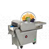 Plak Mango Drogen Snijapparatuur Droog Fruit Snijmachine Met 500Kg Motor Groente & Kokosnoot Dicer Machine