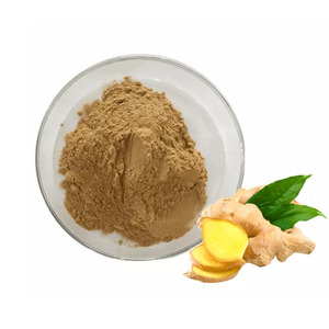 Polvo de jengibre natural Polvo de té de jengibre soluble en agua 1%-20% <span class=keywords><strong>Gingerol</strong></span> 1%-<span class=keywords><strong>6</strong></span>% Shogaol - Product Image 1
