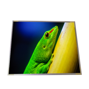 Low Price 19.0 inch G190EAN01.5 LCD Panel 1280*1024 TFT LCD Screen Display - Product Image 1