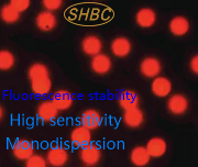 Microsphères fluorescentes en métal de terres rares à longue durée de luminescence, haute stabilité, pour le domaine des biomarques, prix 0,1 µm