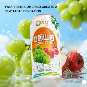 JIUR Best Selling Uva & Hawthorn Suco De Frutas Bebidas Com Polpa Sucos Suco De Frutas Mais Popular - Product Image 5