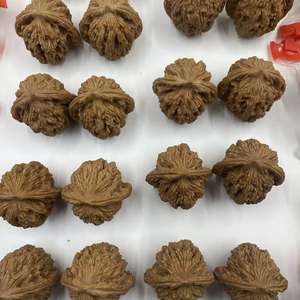 Hot-selling Unisex Natuurlijke zeldzame Creatieve Culturele zeldzame verzamelobjecten Ambachten Snuisterijen Ruwe Volkskunst HERB Tijgerkop Wenwan Walnoot - Product Image 6