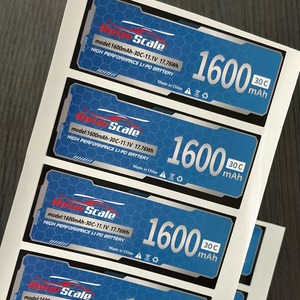 Etiquetas de Especificaciones de Baterías Impresas en Papel Copperplate Personalizadas con Laminado Brillante, Etiquetas Autoadhesivas Impermeables para Voltaje - Product Image 1