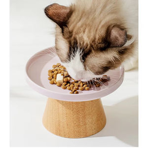 Bol pour animaux de compagnie en céramique, à hauteur différentielle, anti-basculement, pour la nourriture pour chats, lyophilisé, confortable pour la colonne cervicale, pratique pour manger, bol pour chiots - Product Image 5