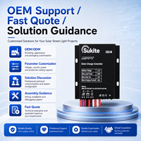 Contrôleur solaire MPPT 3262 3.2V 64W 30A Sukite robuste avec capteur de lumière intégré pour projet d'éclairage public extérieur