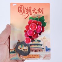 Koelkastmagneet Creatief Fruit Ins Stijl Gepersonaliseerde 3D Magnetische Drank Bier Wijnflesopener Cadeau Model YW-012