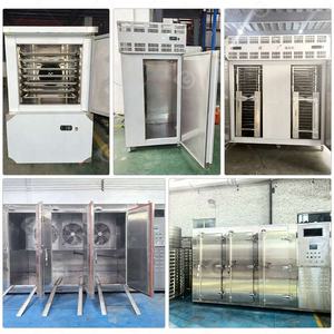 Congelador Industrial Vertical Mini de 6 Toneladas para Pescado Pequeño, Congelador Rápido DC con Bandejas, Equipo para Alimentos en Venta - Product Image 2