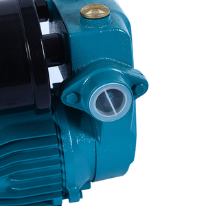 ปั๊มน้ำ CGO OTM800 0.75Hp อุปกรณ์ต่อพ่วง<span class=keywords><strong>ด้วย</strong></span>ตัวเองปั๊มน้ำแบบ priming อัตโนมัติ - Product Image 4