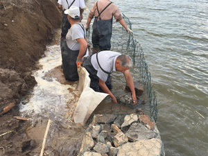 Grillage hexagonal galvanisé soudé à double torsion vert pour la protection des berges fluviales et la construction de gabions avec soudure - Product Image 2