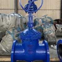 Válvula de Compuerta de Acero Inoxidable con Brida Marina, Alta Presión 25 Bar, para Aceite, Gas y Vapor