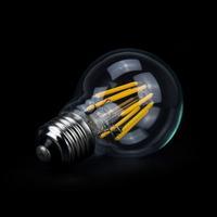Prix usine 4/6/8W LED Ampoule à filament Lampe Rétro Filament E27 Edison Ampoule A60 Led Filament Ampoule 220V