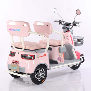 Transport 1000W <span class=keywords><strong>roue</strong></span> spéciale 3 roues adultes tricycles électriques vélo motorisé scooters de mobilité pour l'utilisation de la cargaison - Product Image 6