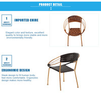 Chaise de jardin moderne en rotin, légère, imperméable, portable, empilable, pour patio, pique-nique, camping, pêche, chambre, école