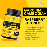 Cápsulas Quemagrasas Personalizadas de Fábrica con Extracto de Café Verde, Favorecen el Control del Apetito, Píldoras de Extracto de Café Verde