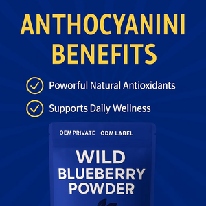 ผงบลูเบอร์รี่อบแห้งแบบแช่แข็ง ผลิตตามความต้องการของลูกค้า (OEM) ผงบลูเบอร์รี่เข้มข้นจากบลูเบอร์รี่ป่า ผงบลูเบอร์รี่ - Product Image 3