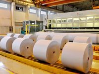 Cartón Recubierto de Primera Calidad de 140-250 g/m², 0.12-0.235 mm, Color Marfil/Cartón FBB para Embalaje y Cajas de Regalo