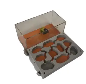 定制透明亚克力3D蚂蚁农场石膏蚁巢蚁群盒，仅供展示进料区