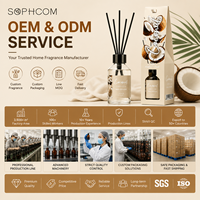OEM ODM 100ML Rietdiffuser Set, Aangepaste Geur Olie met Rietenstokjes voor Importeurs en Cadeauhandelaren
