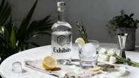 Bouteille à liqueur ronde en verre transparent avec bouchon en caoutchouc vide pour whisky, vin, vodka, gin, rhum et boissons aux fruits