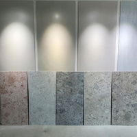 Dalles de ciment terrazzo de grande taille, décoratives modernes, haut de gamme, pour villas, halls d'hôtels, centres commerciaux, murs de bureaux, écologiques, ignifuges, en pierre