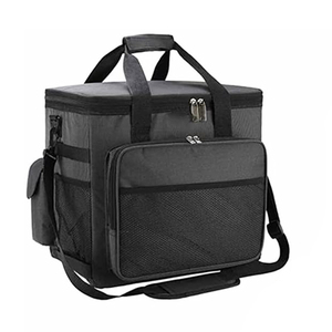 Réfrigérateur de refroidisseur de voiture Portable 12V pour voyages en voiture grande capacité refroidisseur de vin électronique thermique sac enfichable imprimé pour voyage - Product Image 2