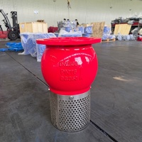 Katup Kaki Anti Balik Besi Daktilit Ujung Flens dengan Saringan Baja Tahan Karat untuk Stasiun Pompa Air Limbah