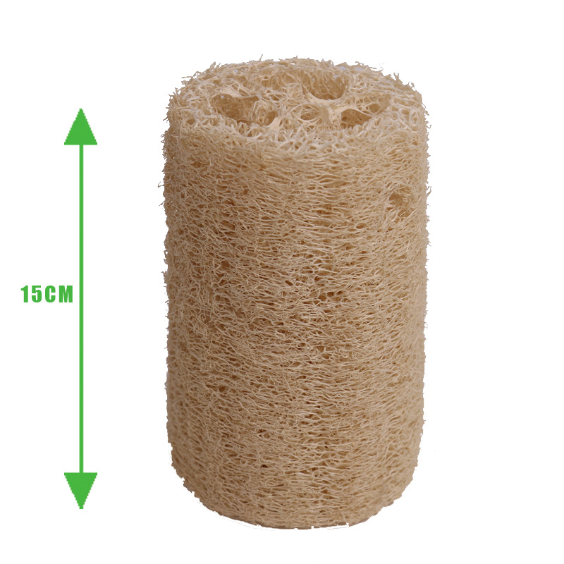 15cm