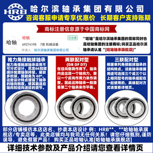 Rodamiento HRB Harbin 7602030 7602035 TN P4 DB DT DF, Par de Dos Piezas para Reparación de Automóviles - Product Image 1