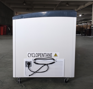 Congélateur de présentation commercial 298L à température unique avec porte pliante pour crèmes glacées et aliments surgelés, design portable et économe en énergie pour voiture - Product Image 5