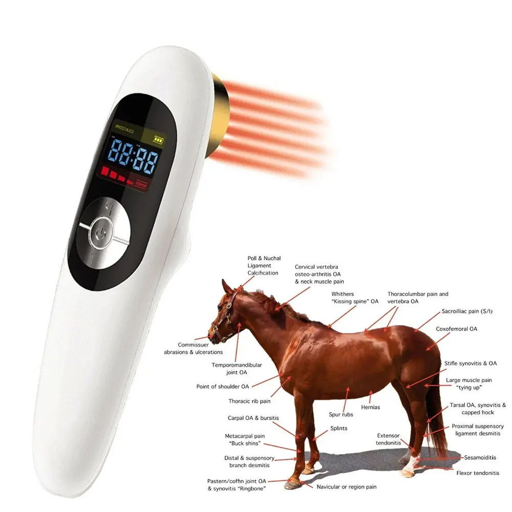 Durek equipamentos de terapia física, terapia a laser frio portátil para alívio da dor no cavalo e cura da artrite