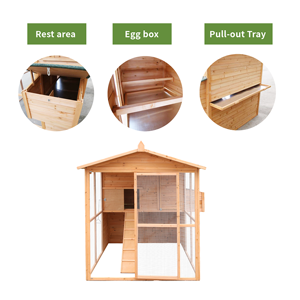 Grande e confortevole spazio di vita durevole in legno pollaio in vendita - Product Image 4