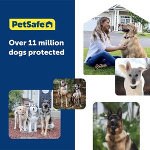 ปลอกคอสุนัข PetSafe Guardian GPS พร้อมระบบติดตามแบบเรียลไทม์ ไร้สาย สีฟ้า ทำจากไนลอนและพลาสติก รองรับบลูทูธ ใช้งานร่วมกับ iOS ได้ - Product Image 6