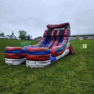 Toboggans adultes commerciaux sautant maison de rebond en plein air palmier <span class=keywords><strong>sec</strong></span> enfants piscines saut château gonflable toboggan gonflable pour <span class=keywords><strong>piscine</strong></span> - Product Image 6