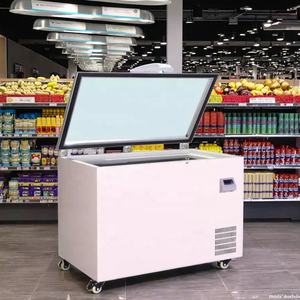 Congelador comercial de exhibición de atún de baja temperatura de 270L -55 grados - Product Image 1