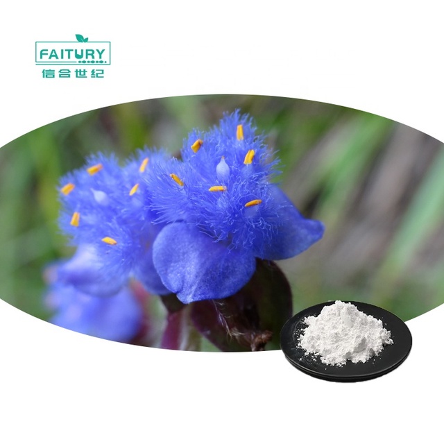 Faitury Manufacturer Supplies Cyanotis Arachnoidea Extract Beta Ecdysterone 98% Powder