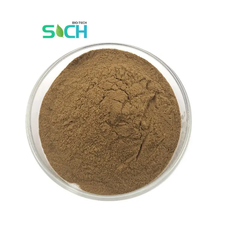 Supplement 10:1 20:1 Black Cohosh Extract Powder Triterpene Glycosides 2.5% Black Cohosh Root Extract