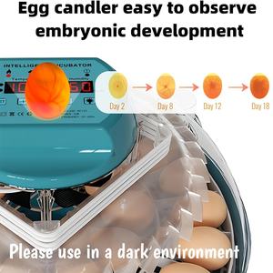 30 yumurta için Mini otomatik yumurta kuluçka çift güç PP yumurta dönüm makinesi yeni durum - Product Image 6