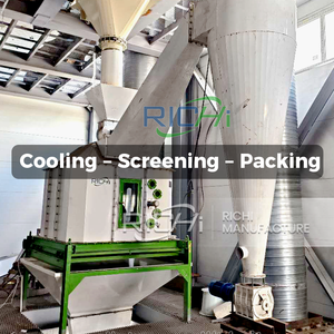 Usine <span class=keywords><strong>de</strong></span> Granulés d'Aliments RICHI Personnalisée Gratuitement pour Bétail, Animaux d'Élevage, Poulets, Volailles – Machine à Granulés d'Aliments pour Animaux - Product Image 6