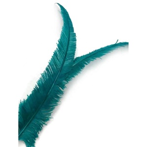Plumas de Avestruz <span class=keywords><strong>Nando</strong></span> Recortadas de 55-60 cm, Disponibles en Cualquier Color, de la Mejor Calidad para Decoraciones de Carnaval y Accesorios de Disfraces - Product Image 2