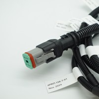 Arneses de Cableado Electrónico Personalizados con Aislamiento de PVC/Goma, Clasificación IP66, Ensamblaje de Cables OEM ODM para Electrodomésticos y Máquinas