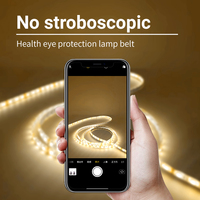 Bande lumineuse LED COB flexible programmable à double température de couleur IP65 de 8 mm pour aménagement paysager